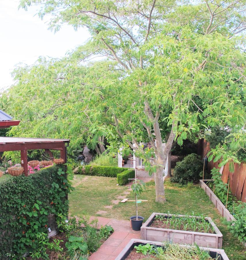 The Old Vicarage Studio Bed & Breakfast Amberley Dış mekan fotoğraf